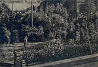 click to enlarge